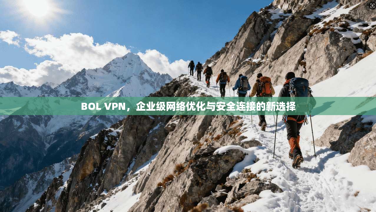 BOL VPN，企业级网络优化与安全连接的新选择