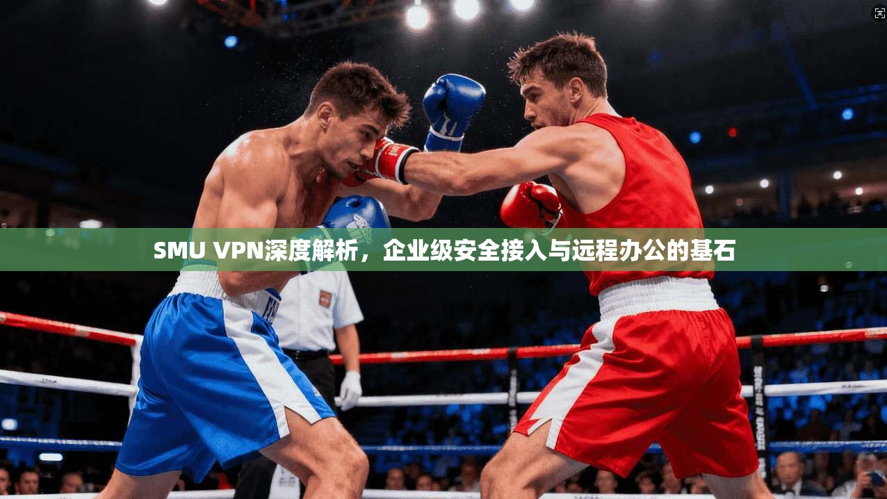 SMU VPN深度解析，企业级安全接入与远程办公的基石