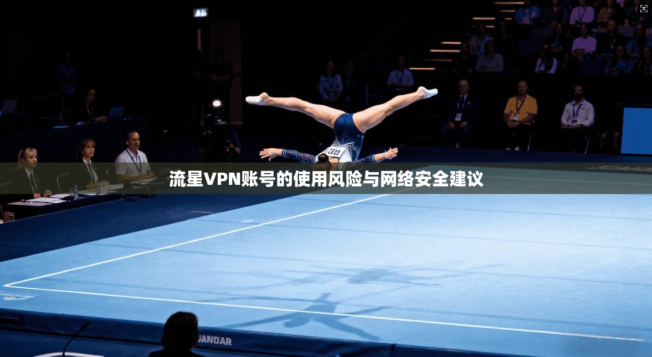 流星VPN账号的使用风险与网络安全建议