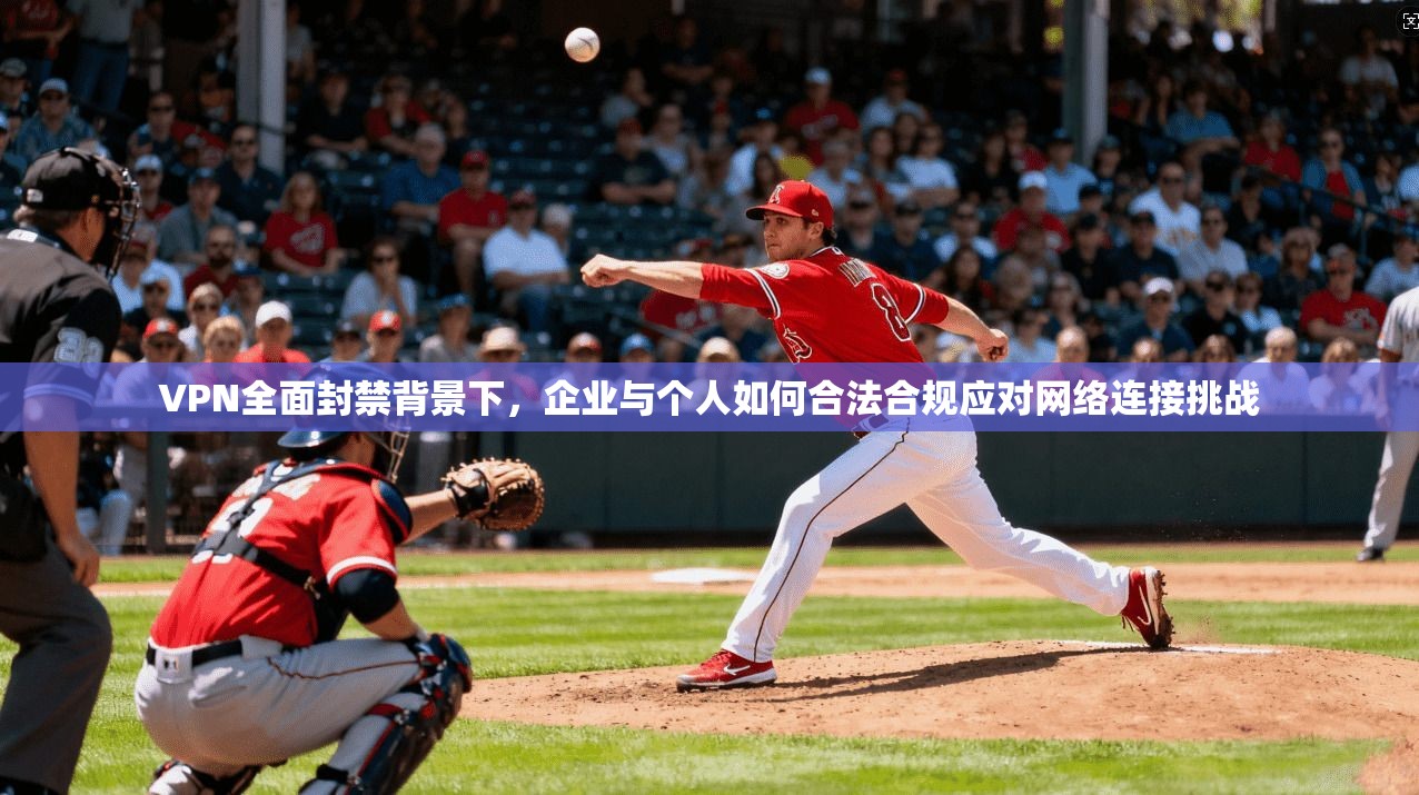 VPN全面封禁背景下，企业与个人如何合法合规应对网络连接挑战