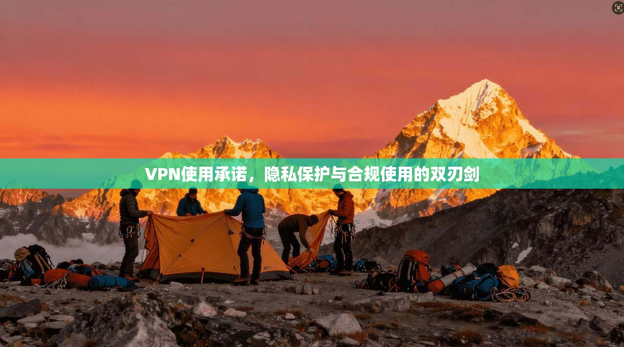 VPN使用承诺，隐私保护与合规使用的双刃剑