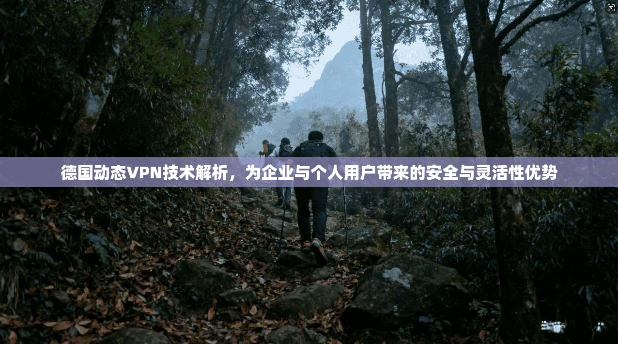 德国动态VPN技术解析，为企业与个人用户带来的安全与灵活性优势