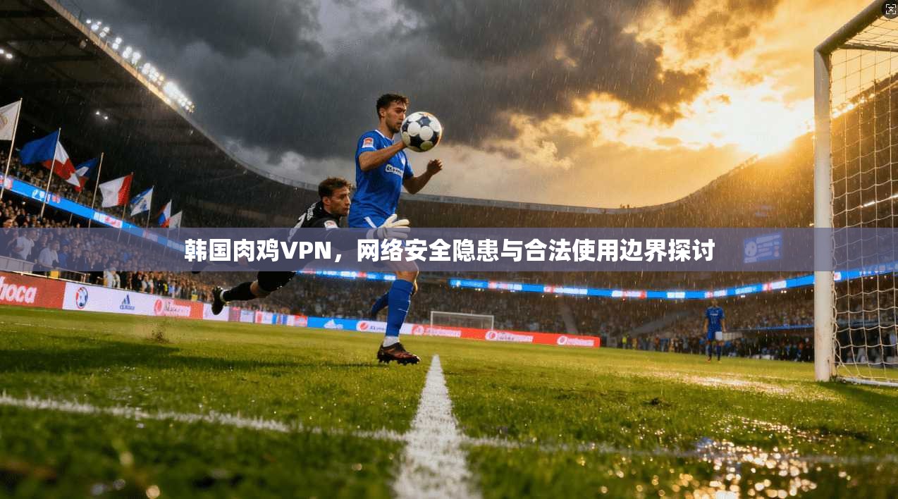 韩国肉鸡VPN，网络安全隐患与合法使用边界探讨