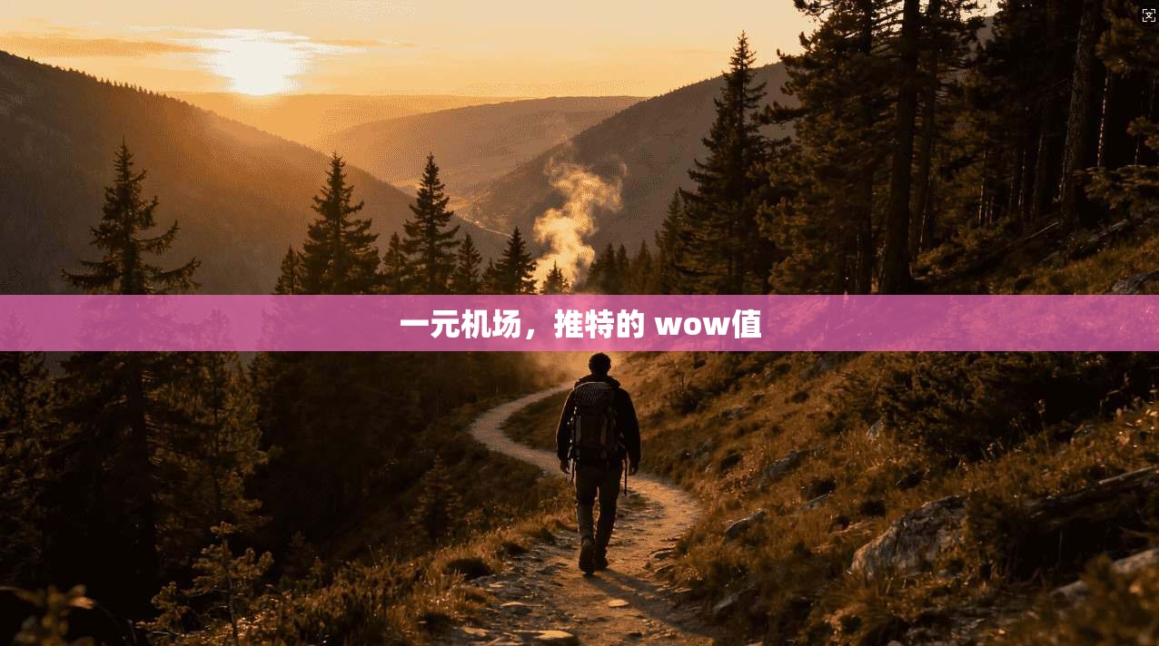 一元机场，推特的 wow值  第1张