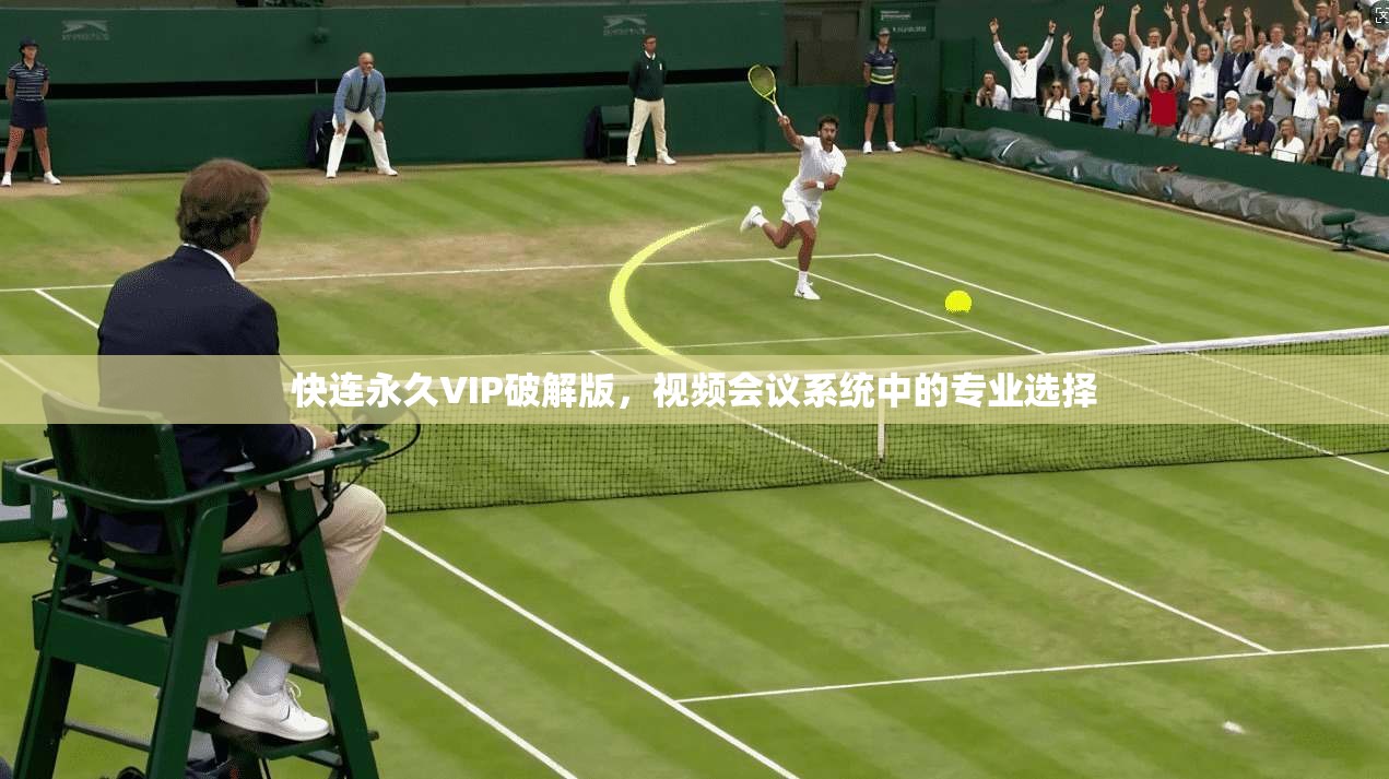 快连永久VIP破解版，视频会议系统中的专业选择  第1张