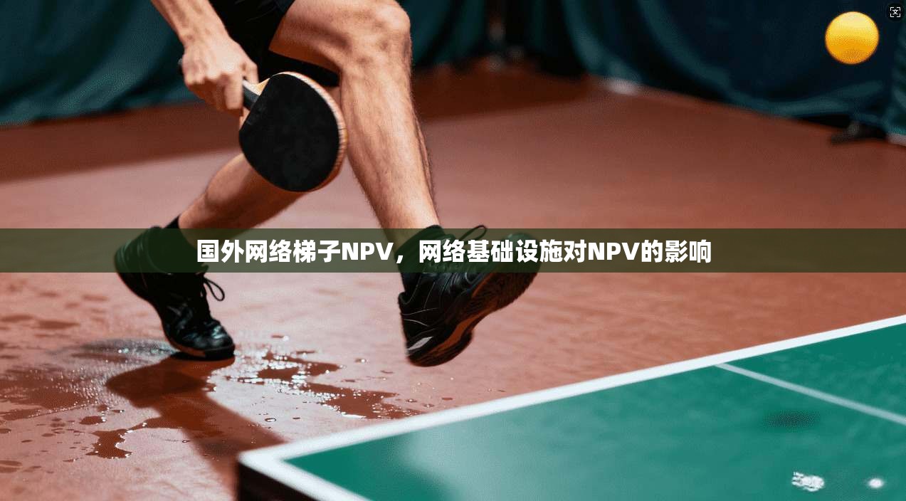 国外网络梯子NPV，网络基础设施对NPV的影响  第1张