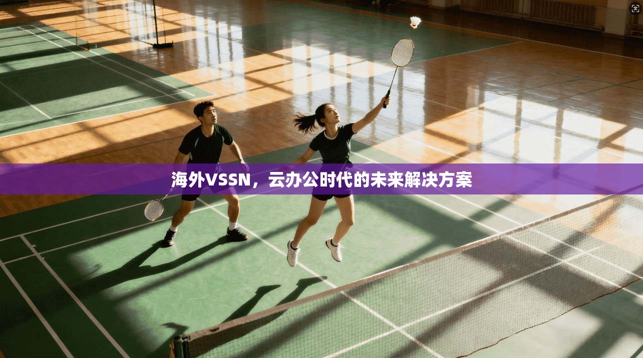 海外VSSN，云办公时代的未来解决方案  第1张