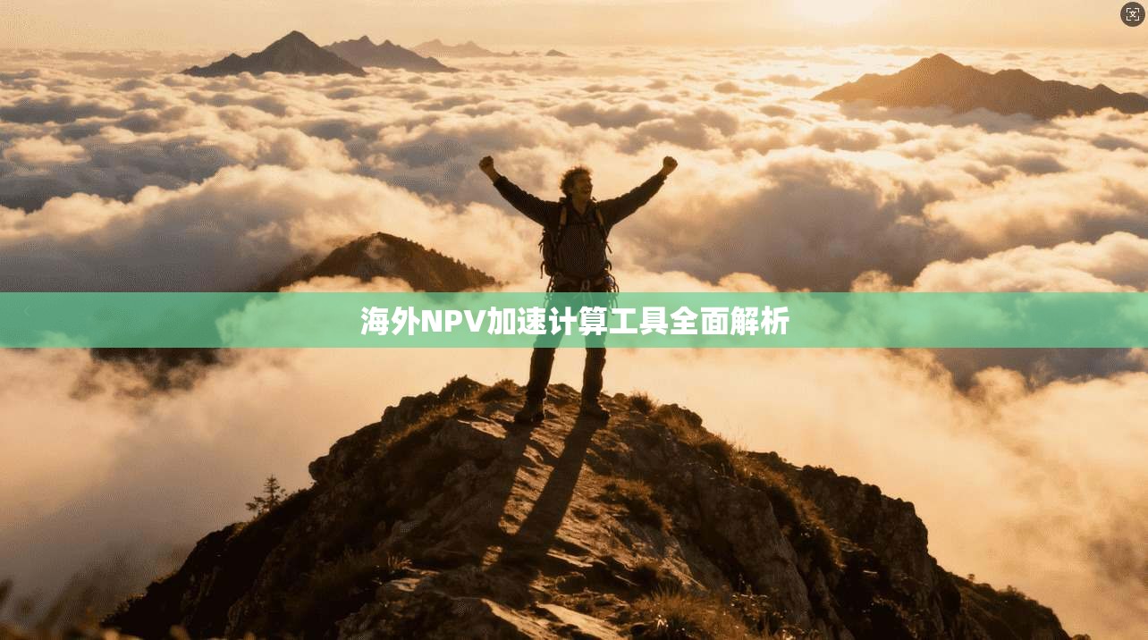 海外NPV加速计算工具全面解析  第1张