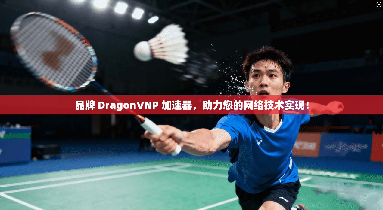 品牌 DragonVNP 加速器，助力您的网络技术实现！  第1张