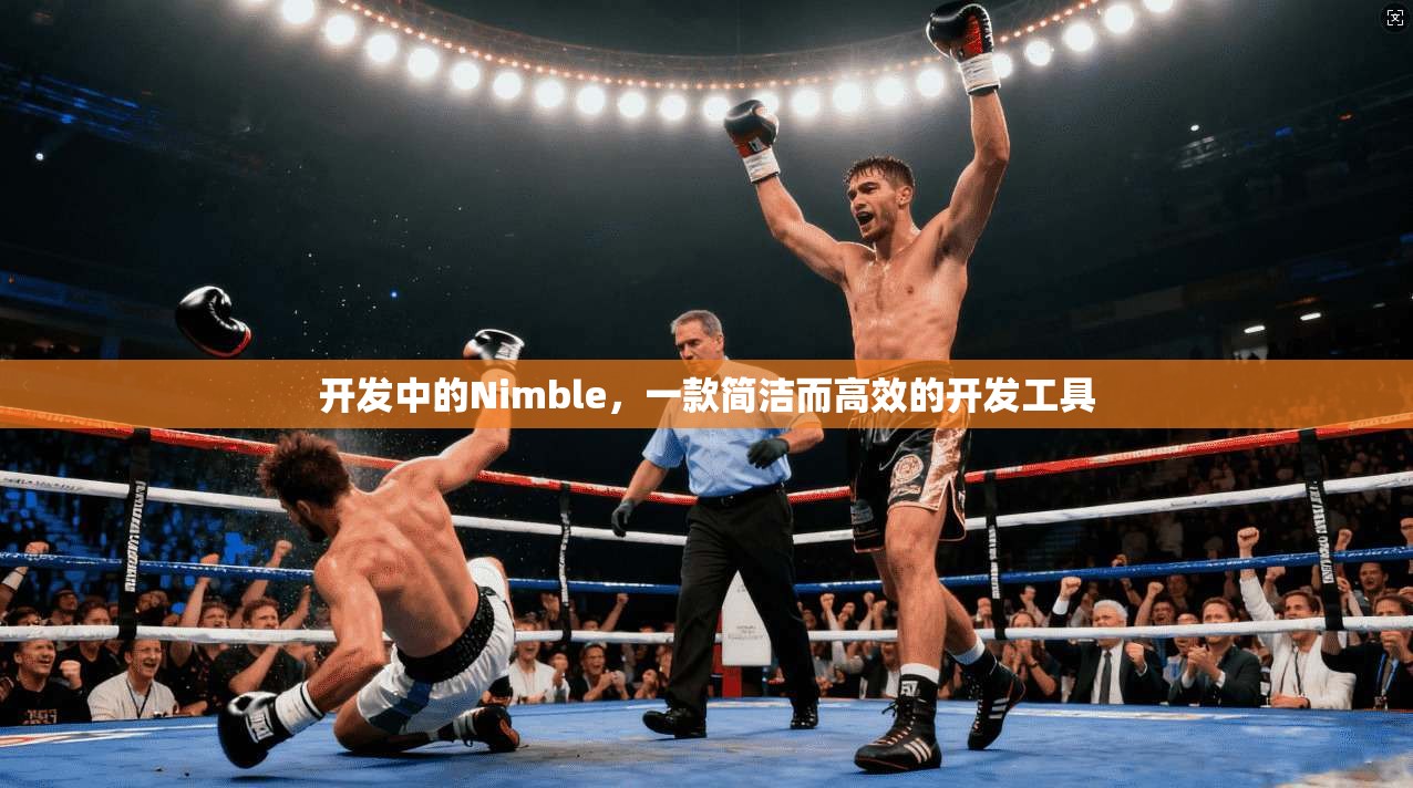 开发中的Nimble，一款简洁而高效的开发工具  第1张