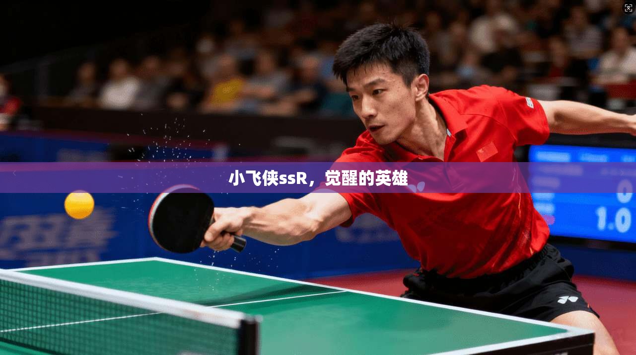 小飞侠ssR,觉醒的英雄 第1张 小飞侠ssR,觉醒的英雄 第1张