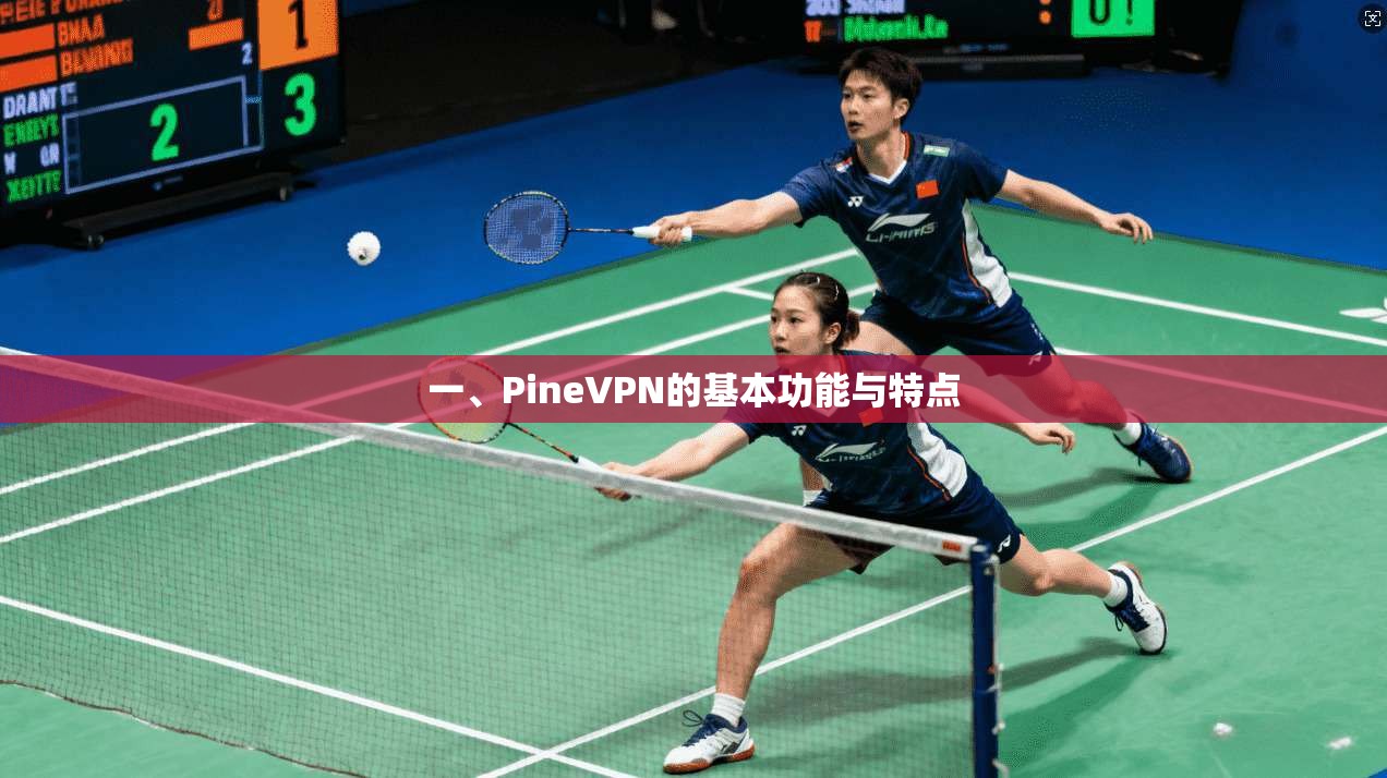 一、PineVPN的基本功能与特点  第1张
