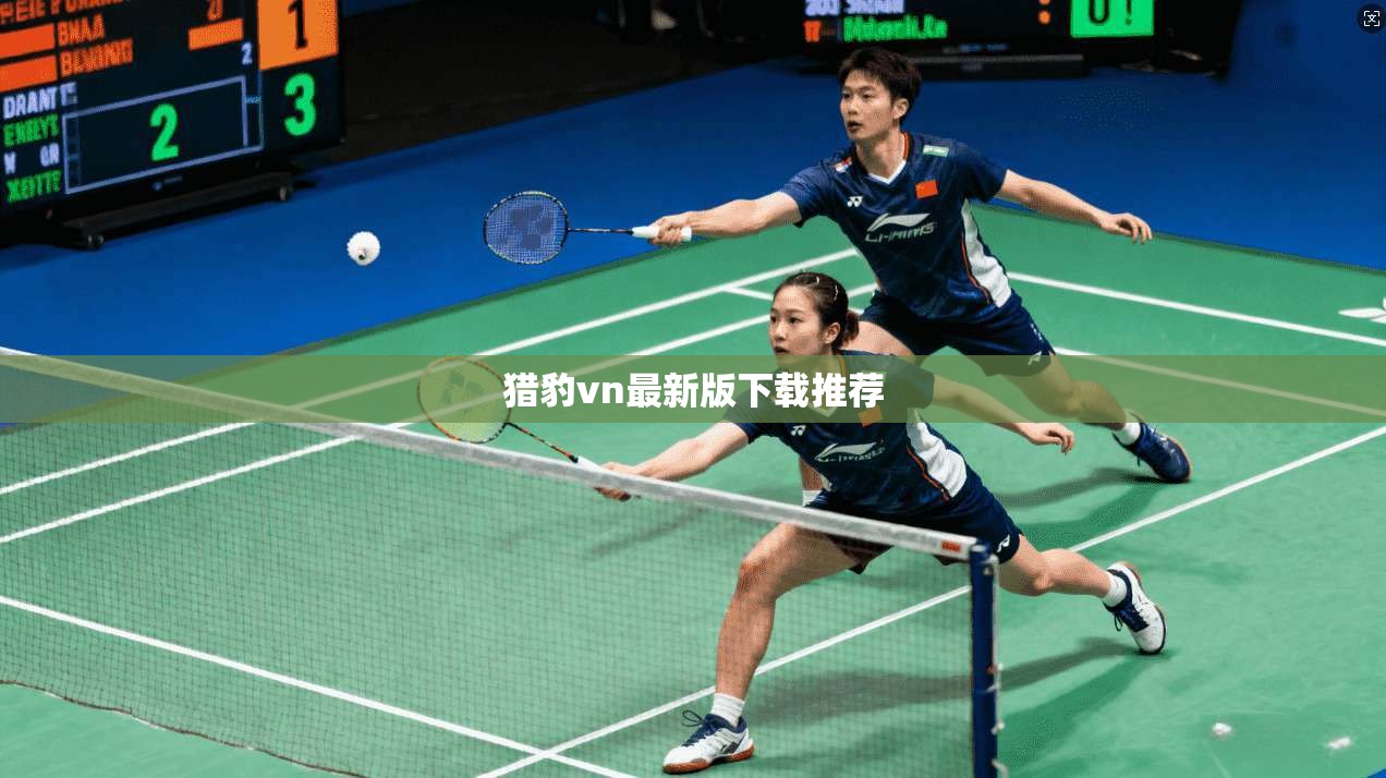 猎豹vn最新版下载推荐  第1张