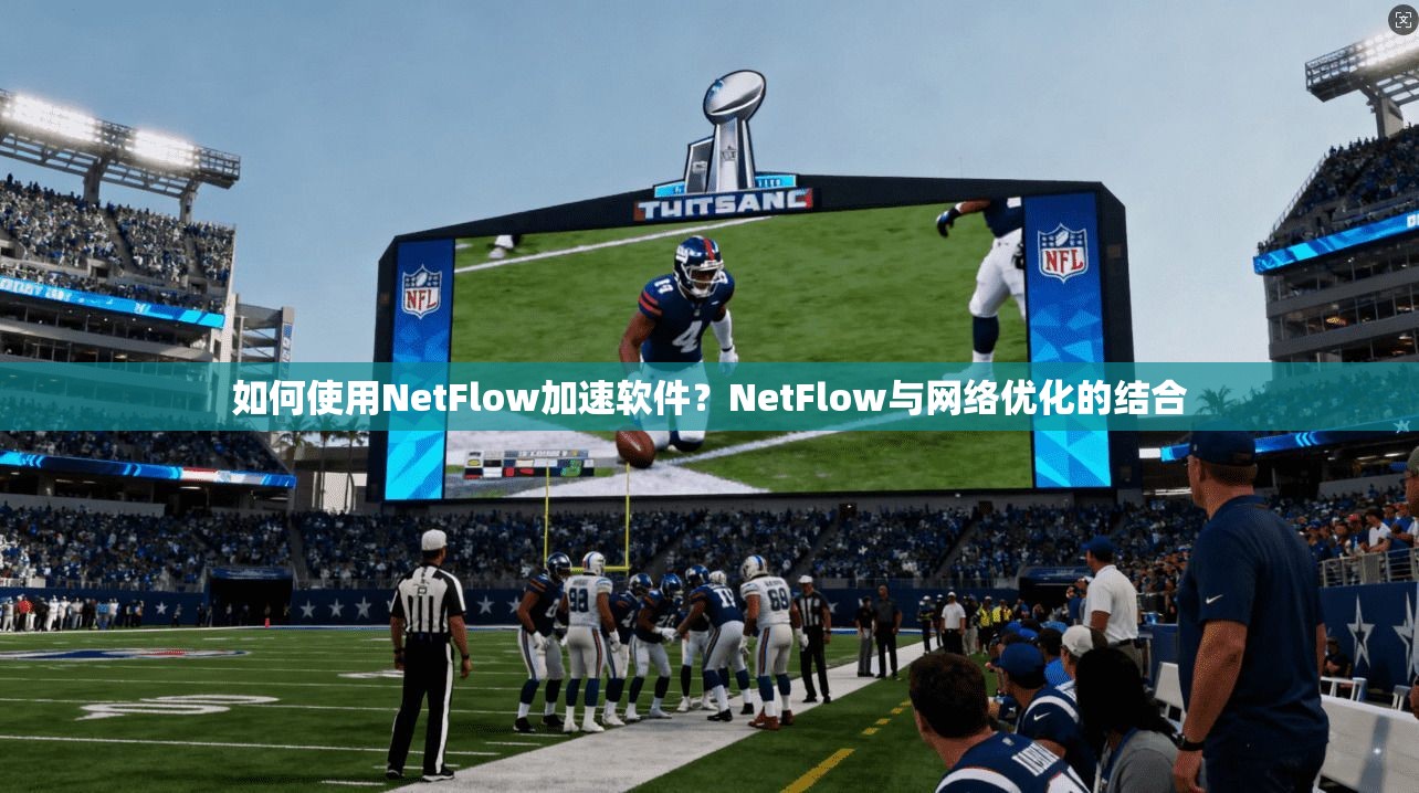 如何使用NetFlow加速软件？NetFlow与网络优化的结合  第1张