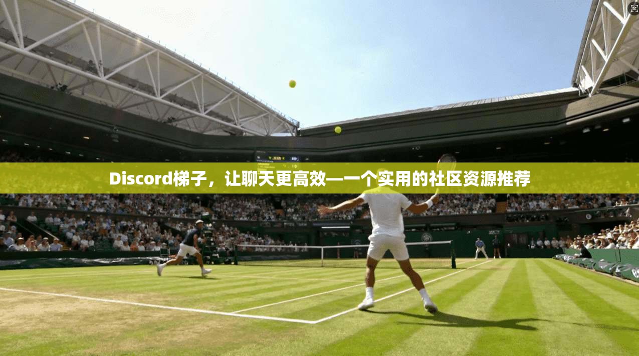 Discord梯子，让聊天更高效—一个实用的社区资源推荐  第1张