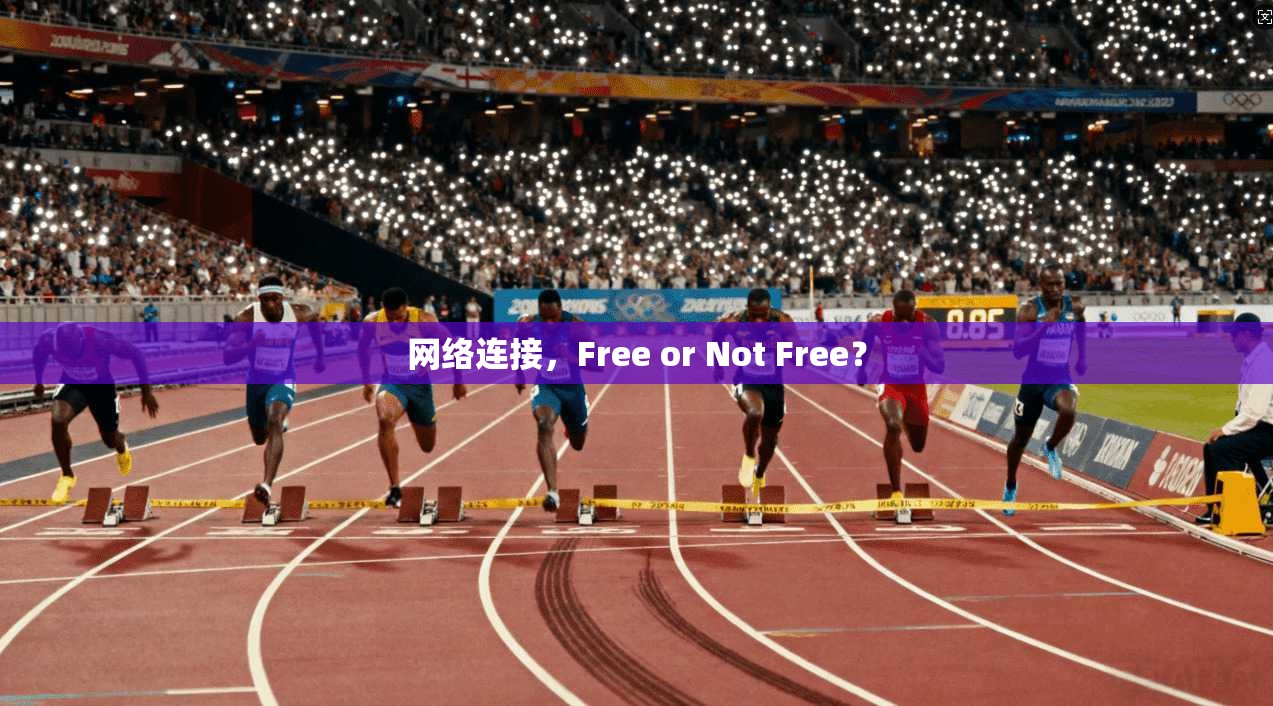 网络连接，Free or Not Free？  第1张