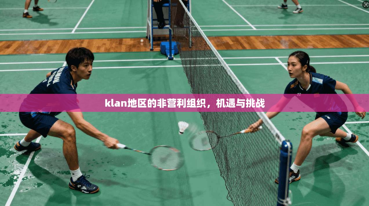 klan地区的非营利组织，机遇与挑战  第1张