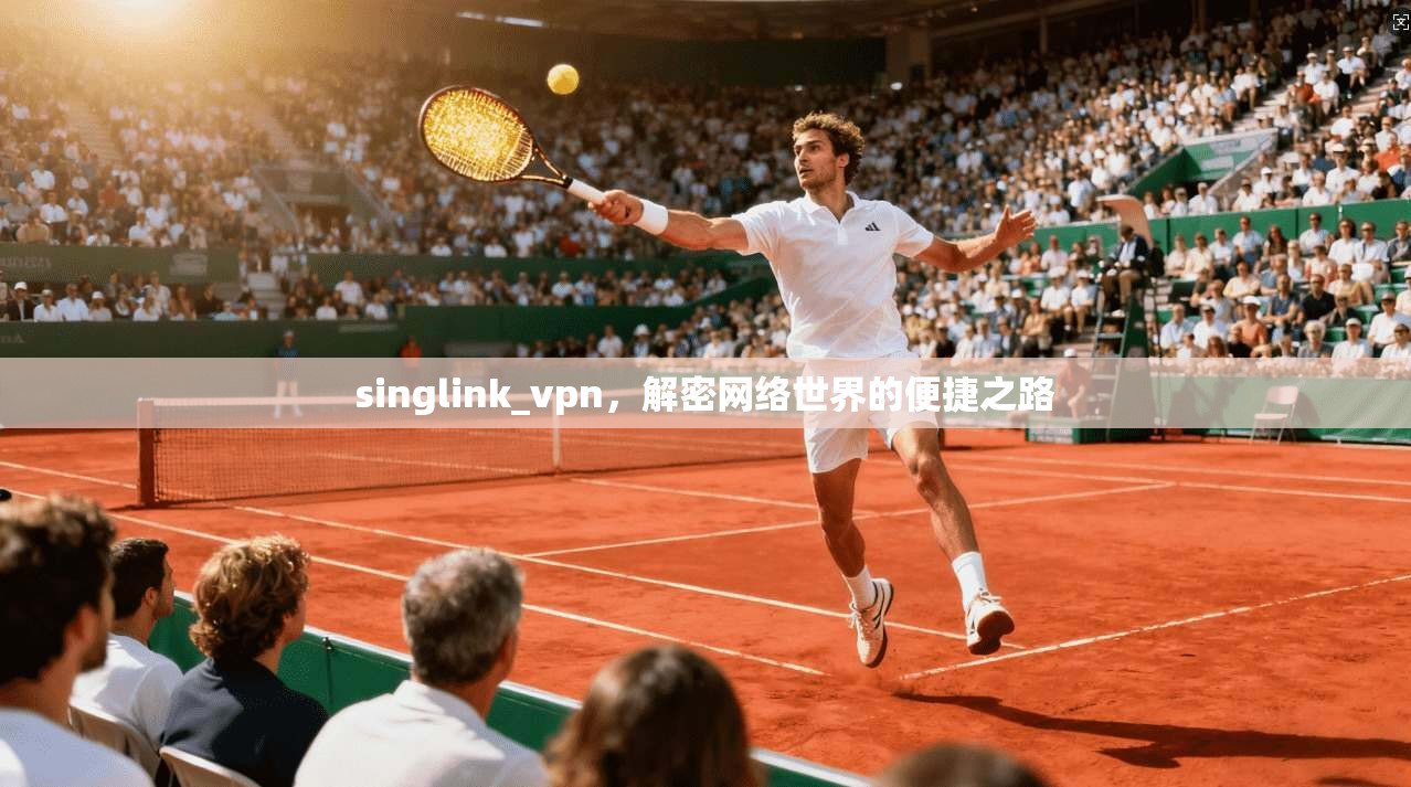 singlink_vpn，解密网络世界的便捷之路  第1张