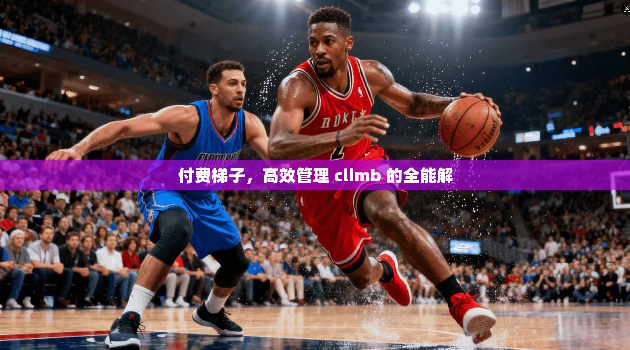 付费梯子，高效管理 climb 的全能解  第1张