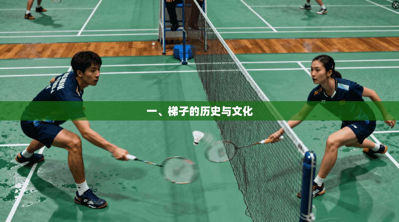 一、梯子的历史与文化 第1张 一、梯子的历史与文化 第1张