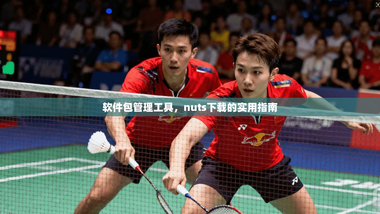 软件包管理工具，nuts下载的实用指南  第1张