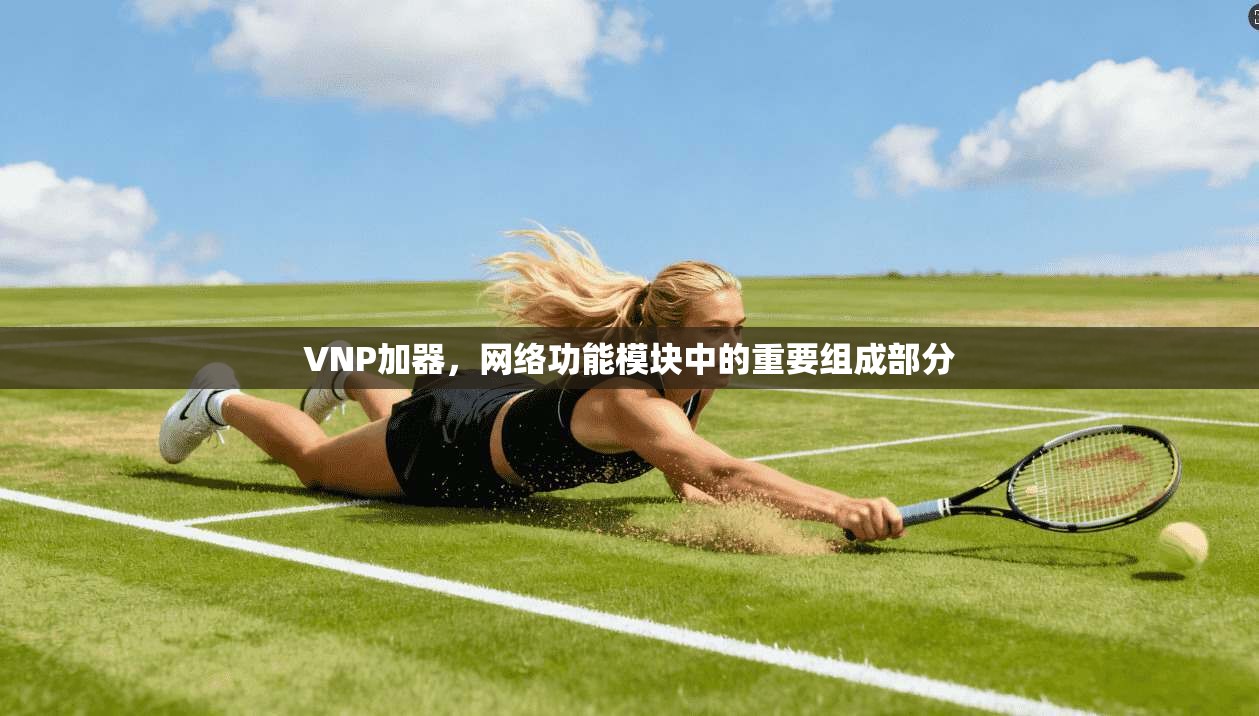 VNP加器，网络功能模块中的重要组成部分  第1张