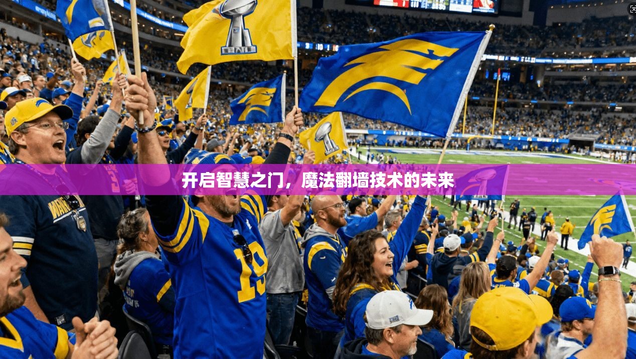 开启智慧之门,魔法翻墙技术的未来 第1张 开启智慧之门,魔法翻墙技术的未来 第1张