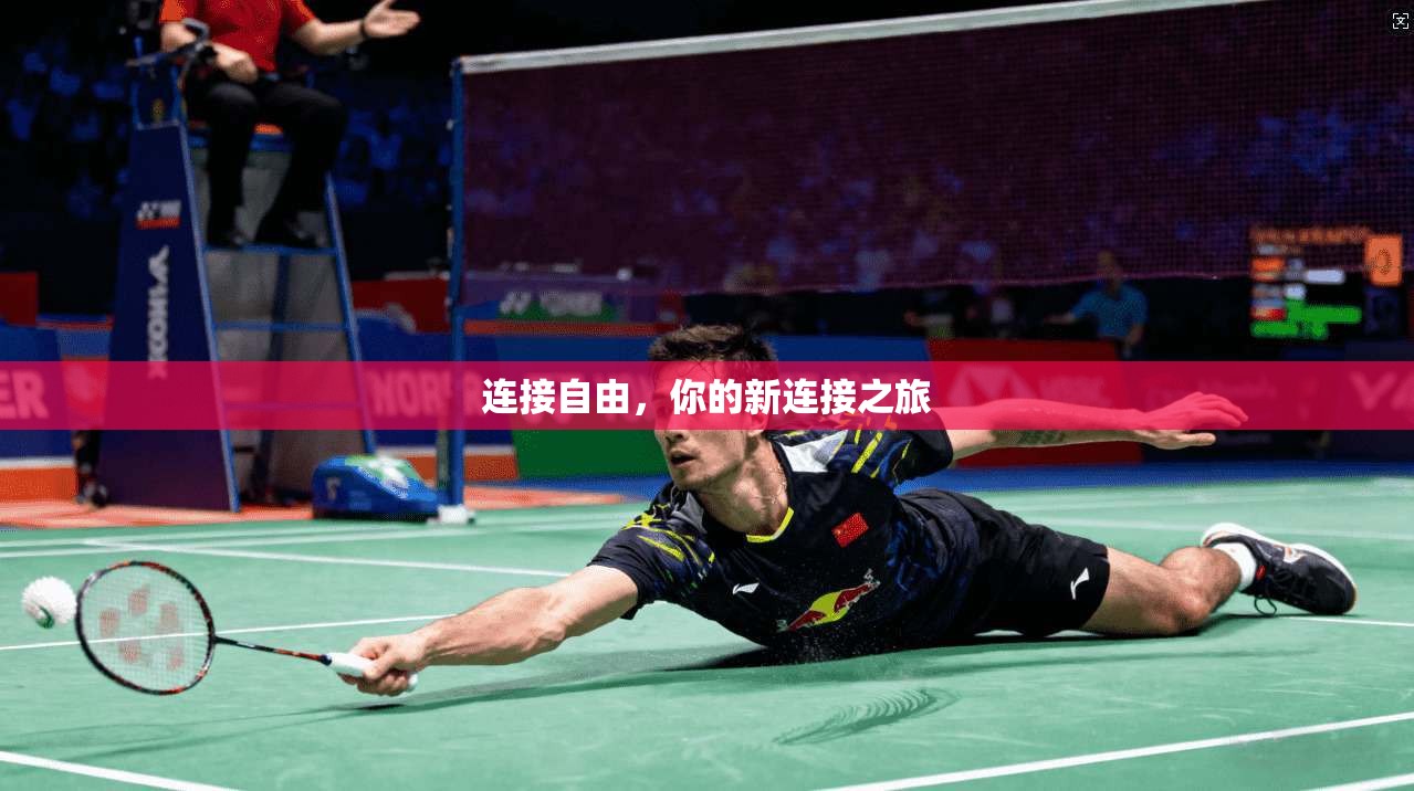 连接自由，你的新连接之旅  第1张