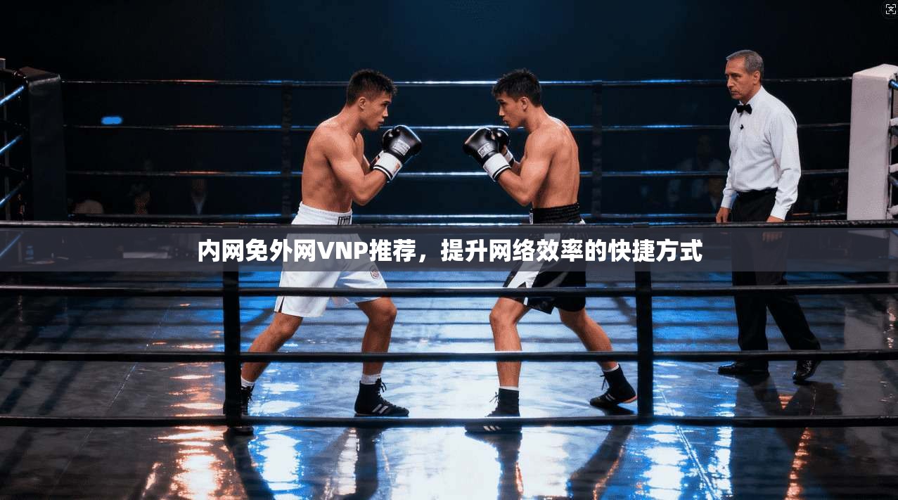 内网免外网VNP推荐，提升网络效率的快捷方式  第1张