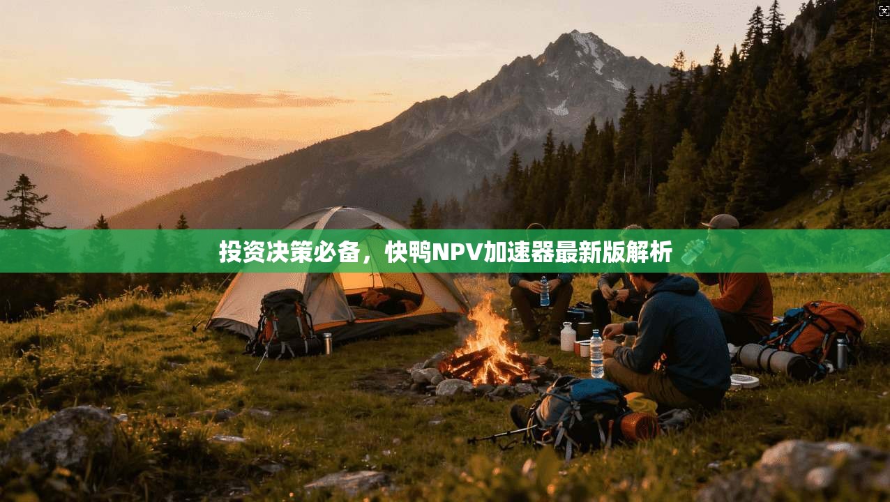 投资决策必备，快鸭NPV加速器最新版解析  第1张