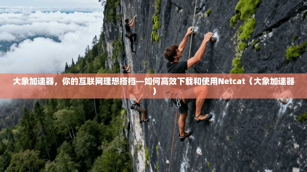 大象加速器，你的互联网理想搭档—如何高效下载和使用Netcat（大象加速器）  第1张
